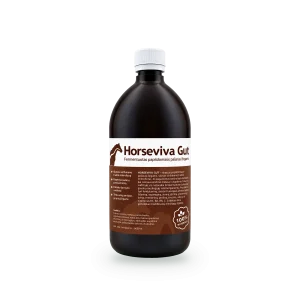 Horseviva Gut